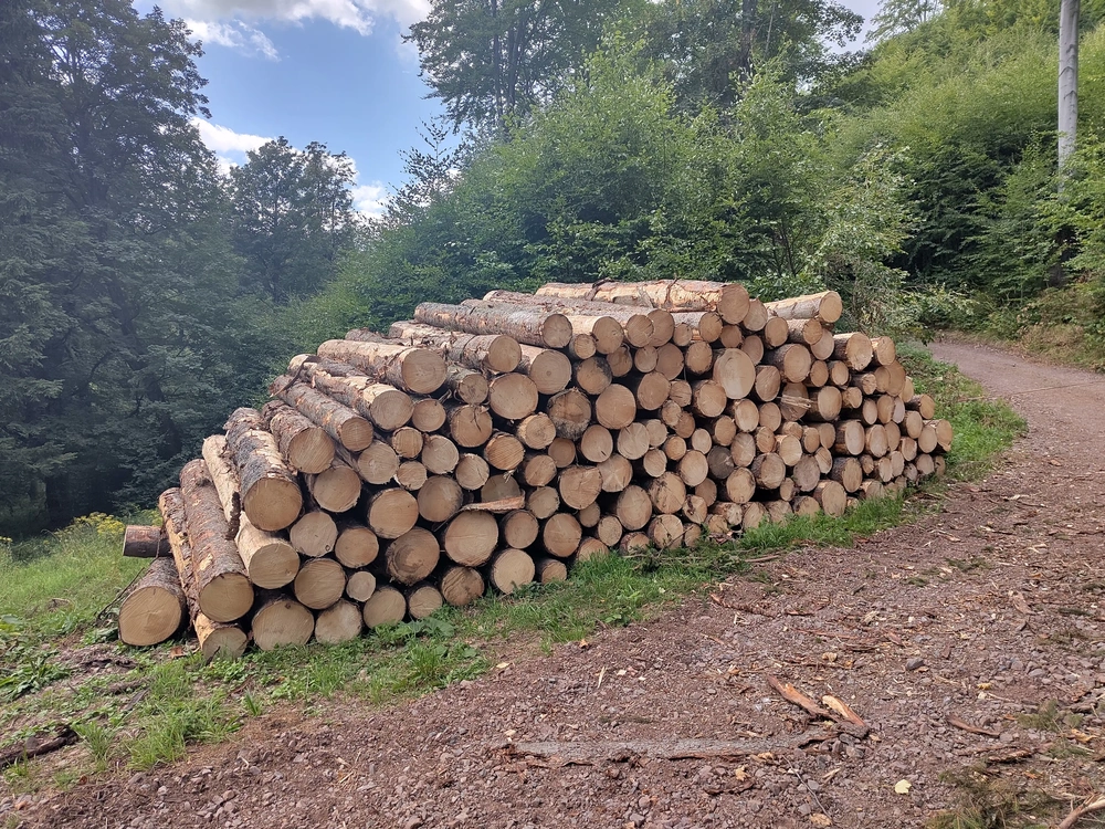 Wooden logs in the mountains.