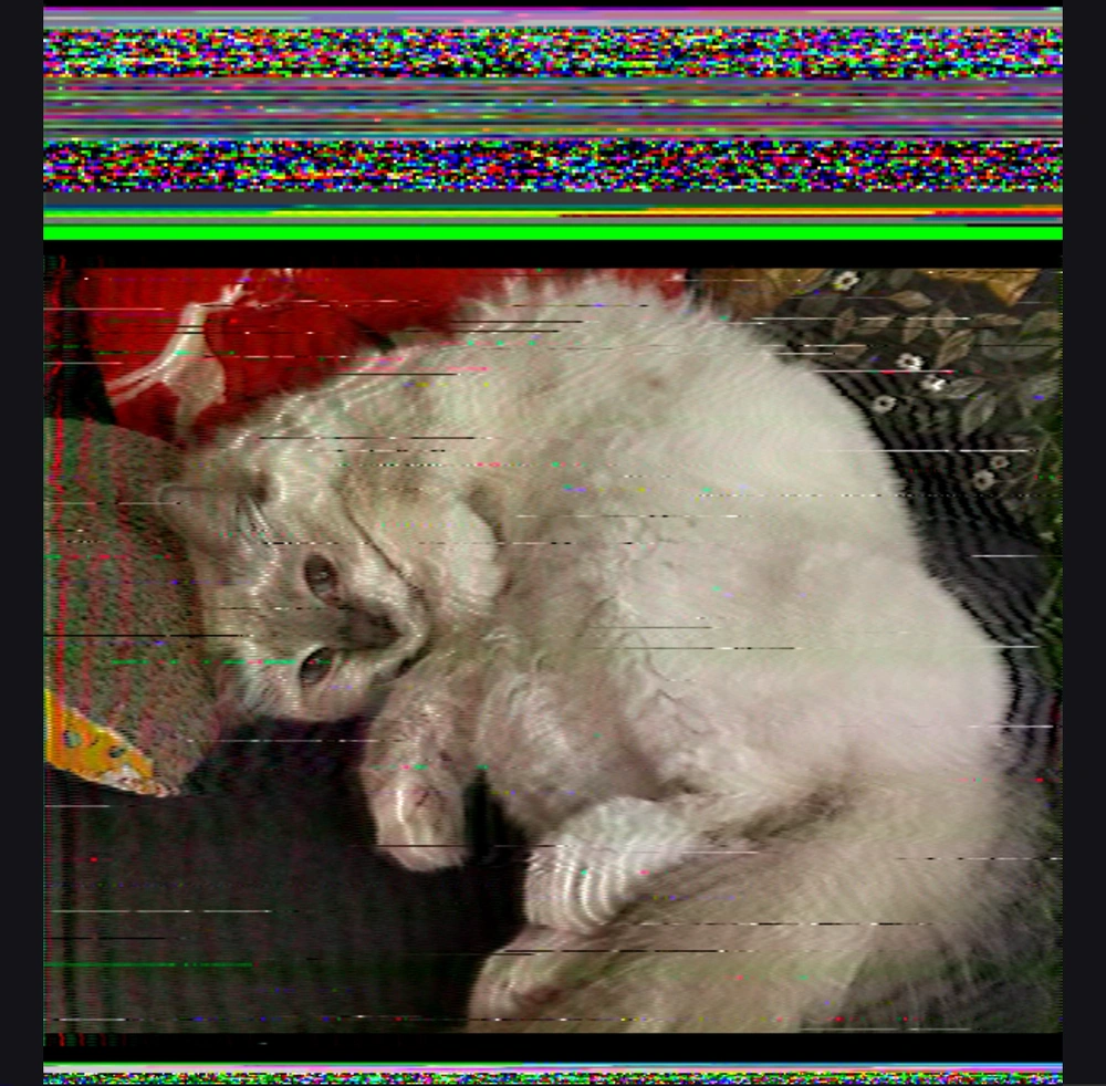 Luna pondering upon the network cable tester.