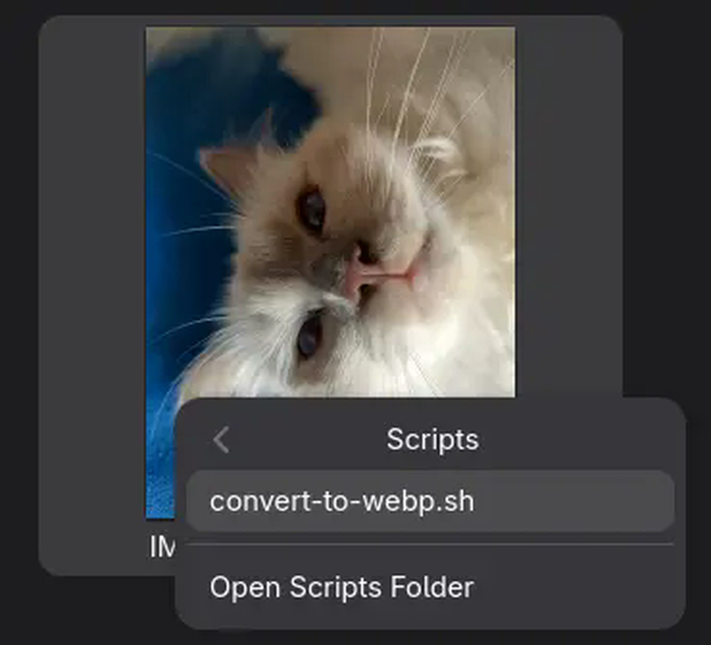 New WebP conversion dialog in Nautilus