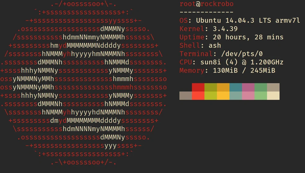 Neofetch on the Roborock