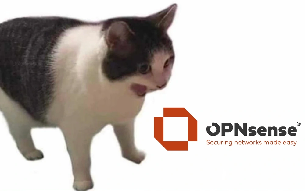 Cat yelling at OPNsense logo